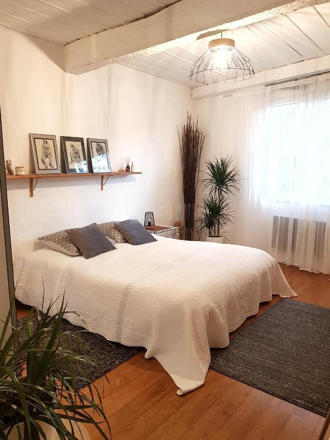 Chambre D Hotes "Lilimyna" Avec Petit Dejeuner Barjols Buitenkant foto